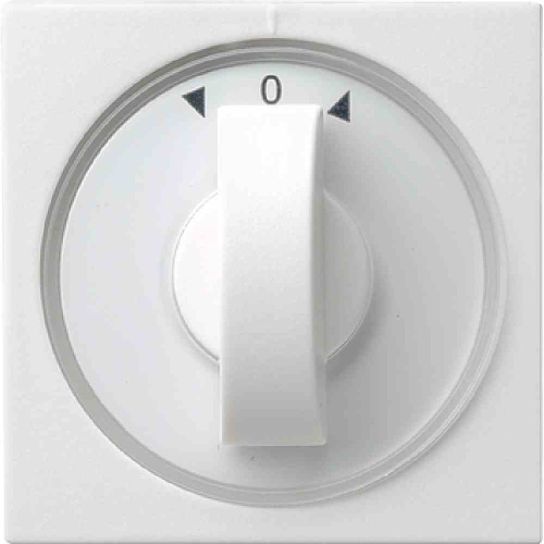 Gira System 55 Knebel, Symbol Jalousie, reinweiß, glänzend, Symbol Pfeile, 066603 Image