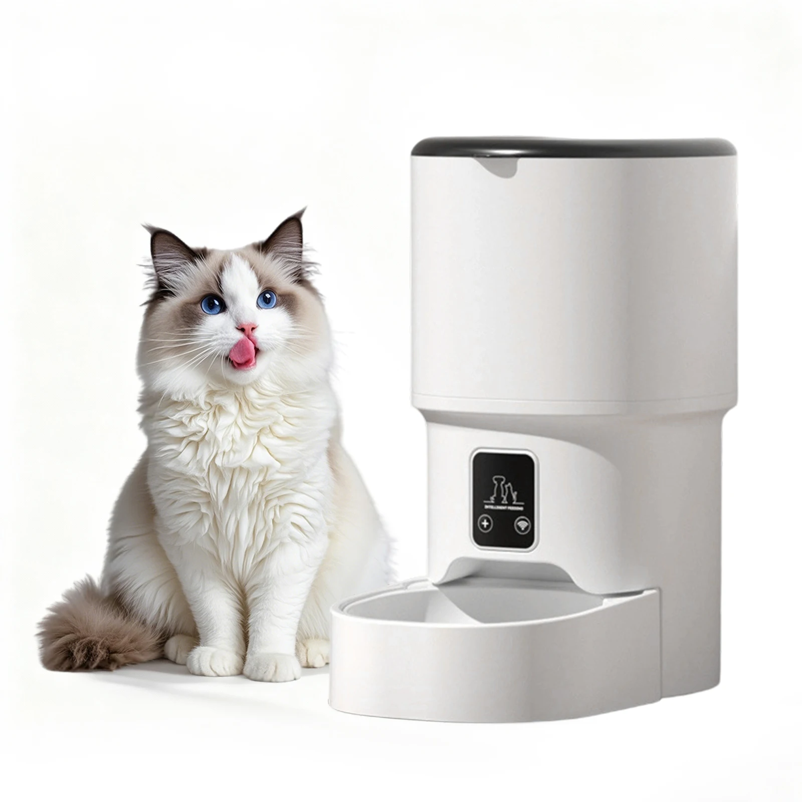 Distributeur automatique de nourriture pour chat avec minuterie, stockage de nourriture de 4 L, bol en acier inoxydable, distributeur de nourriture pour animaux de compagnie facile à nettoyer pour