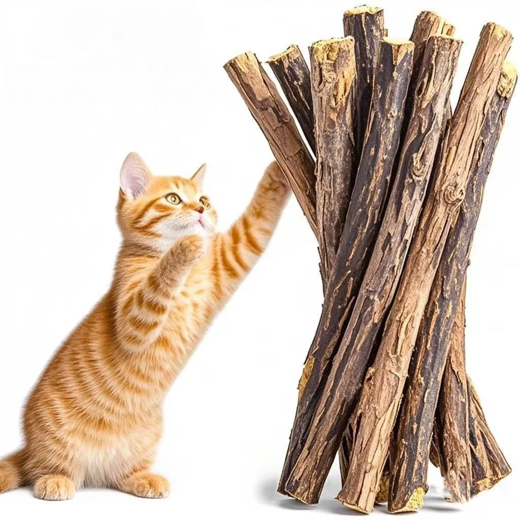 Kätzchen liefert natürliche pflanzliche Katzenkauware, natürliches Gras, Kaustäbchen für Katzen, Chat-Zubehör, Katzen-Mundreinigungsstab, Katzenminze-Spielzeug Image