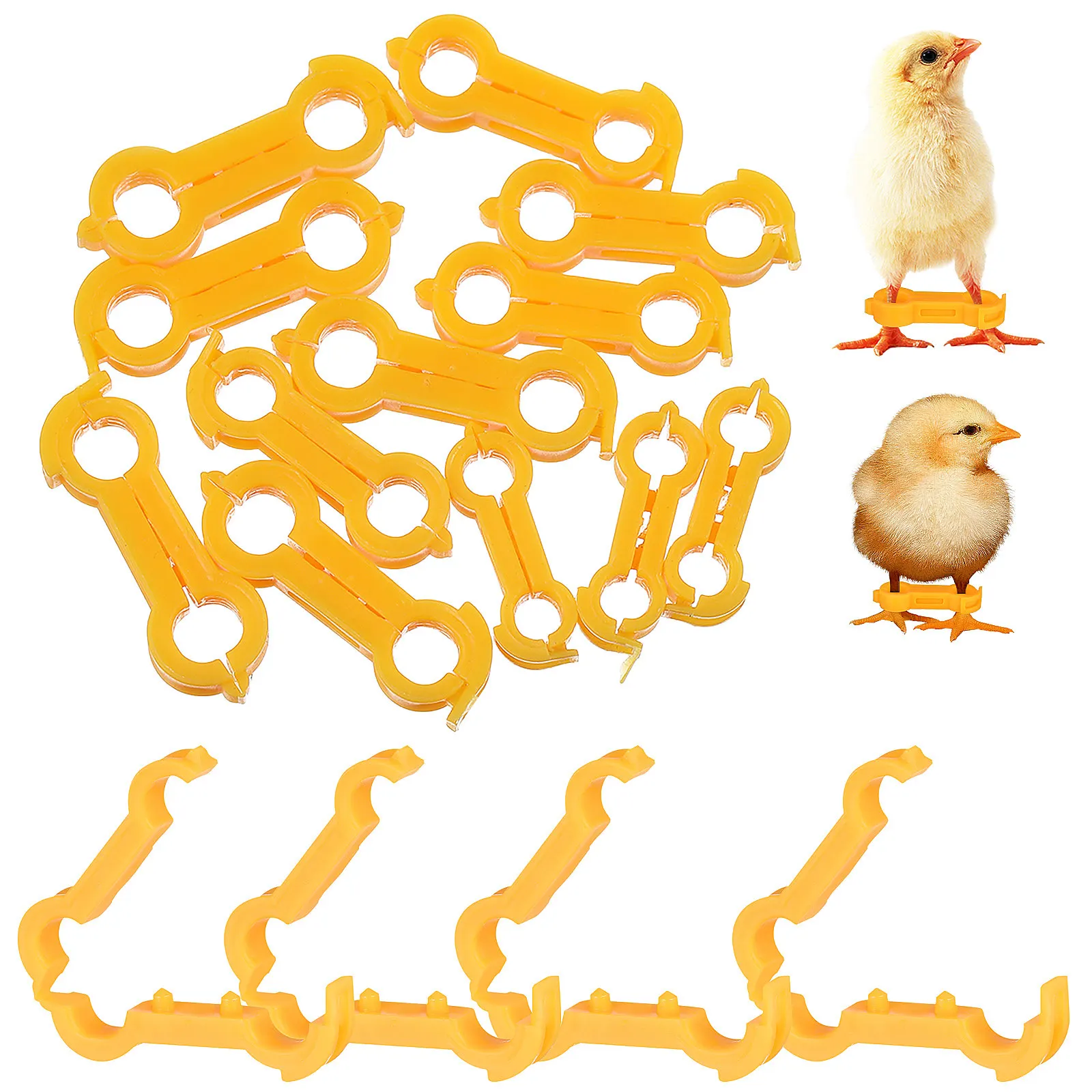 3 Größen 12 Stück Kükenbein-Stabilisator Babyvögel Ausgestreckte Beine Korrekturband Neugeborene Papageien Beinbandage Unterstützung Vogelfußringe Image