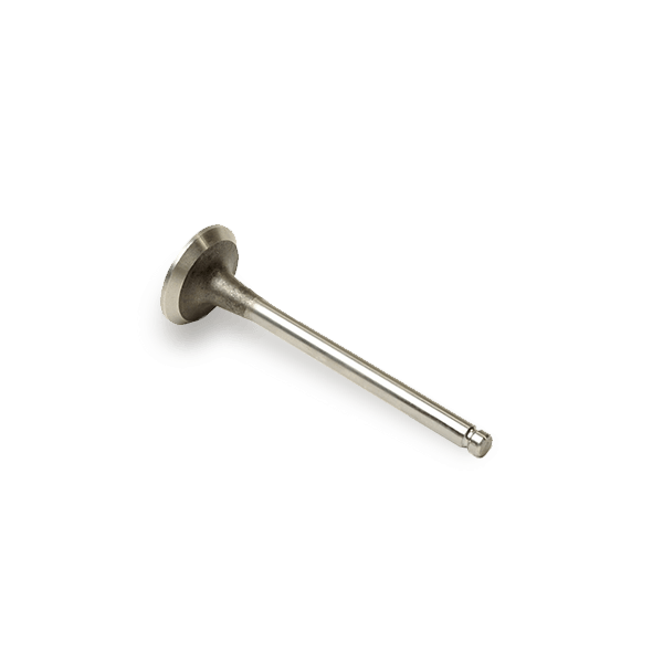 MAHLE Auslaßventil VW,AUDI,SKODA 029 VA 30969 100 03G109611D