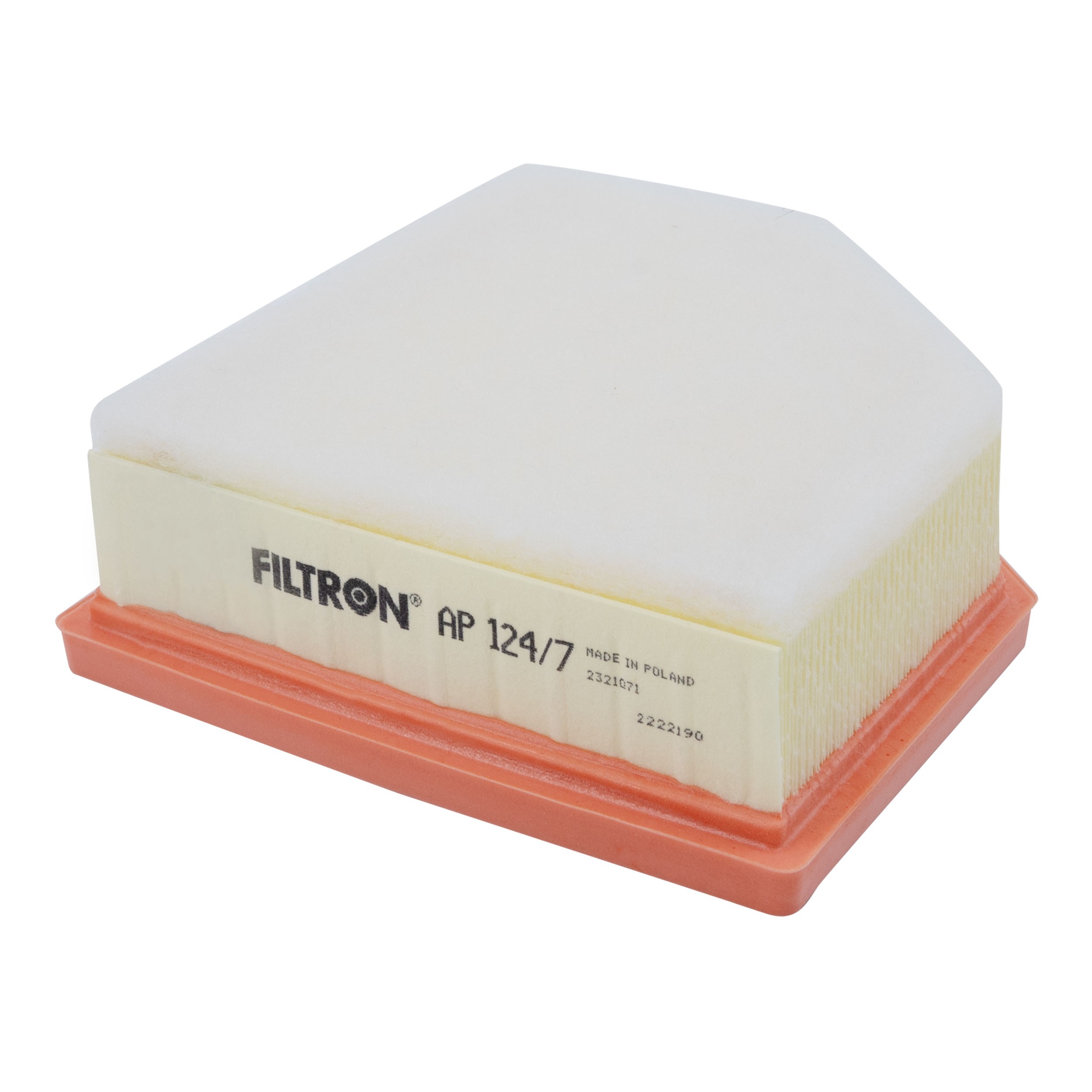 FILTRON Luftfilter RENAULT,NISSAN AP 124/7 165466RA0A Motorluftfilter,Filter für Luft Image