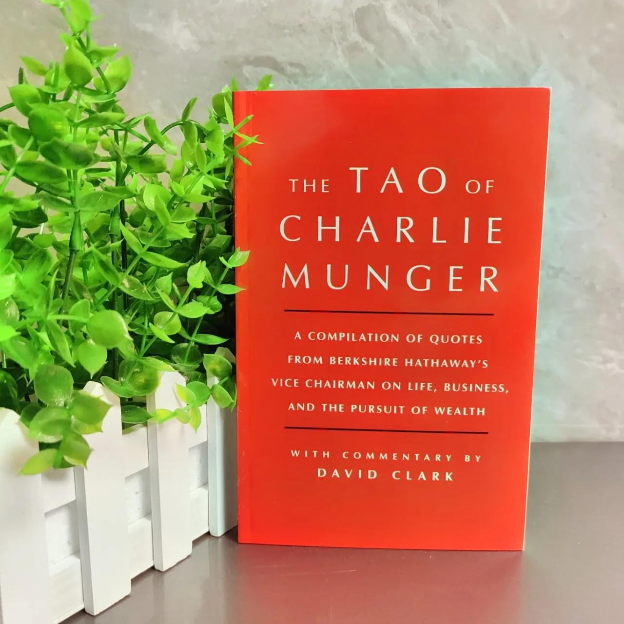 Das Tao von Charlie Munger von David Clark Finanzinvestitionenidee in englischem Lesebuch Image