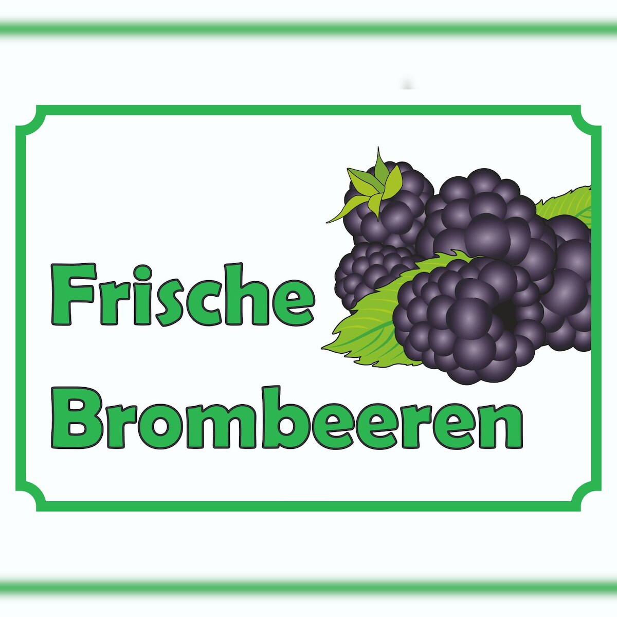 HB-Druck Verkaufsschild Schild Brombeeren A6 Rückseite selbstklebend Image