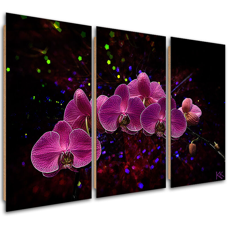 Gbshop - Quadro Deco Panel 3 Paneli, Orchidea Su Uno Sfondo Scuro - 60x40
