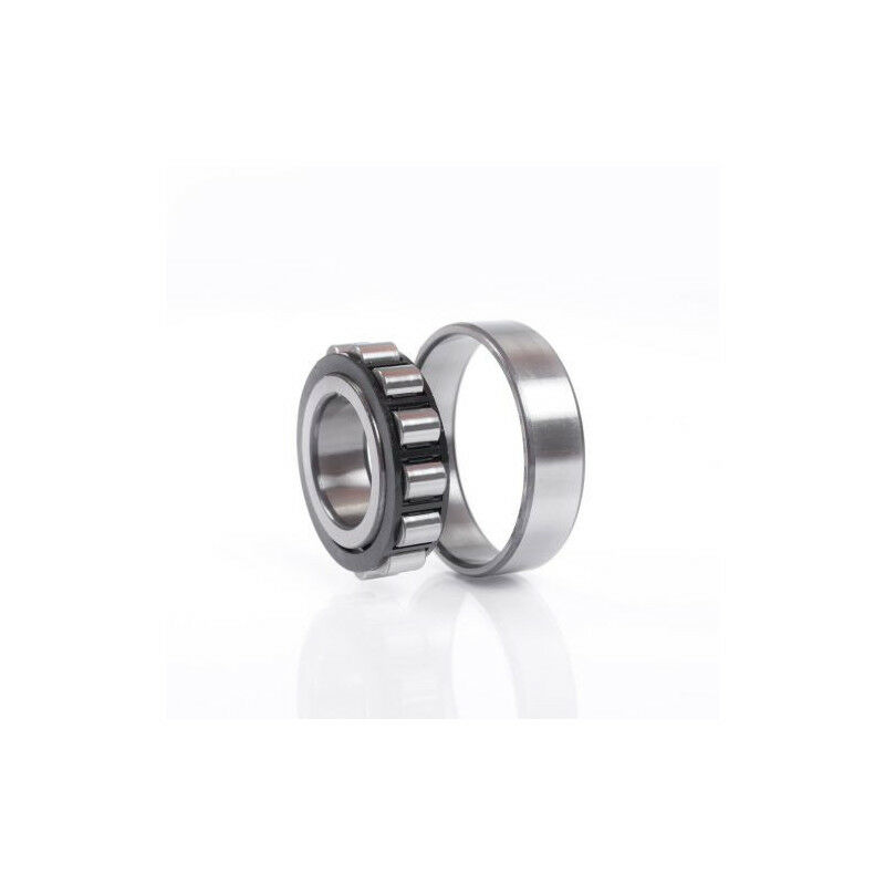 Skf - N310 Cuscinetto A Rulli Cilindrici Ecpc3 Int. 50mm Ext. 110 Mm Largo 27mm