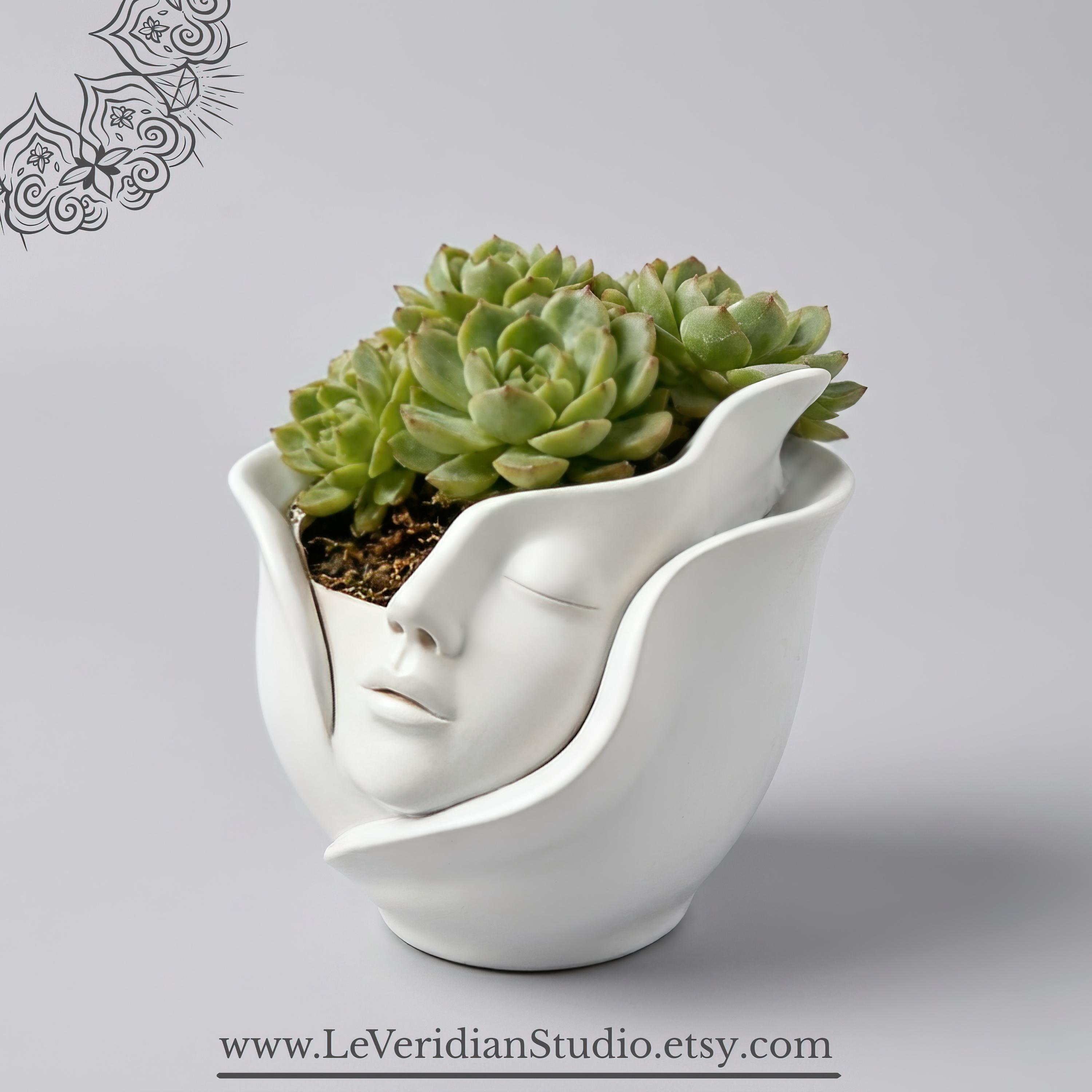 Set di vasi a forma di viso, vaso per piante grasse, vaso a forma di testa unico, vaso per piante carino, vaso moderno per interni ed esterni, decoraz