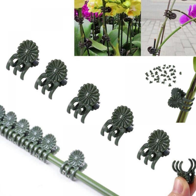 (100 Pezzi) Clip Di Supporto Per Piante, Clip Per Piante Rampicanti, Clip Per Orchidee, Clip Di Supporto Per Piante, Clip Di Fissaggio In Plastica Per Piante Da Giardino, Per Ortaggi, Piante, Fiori