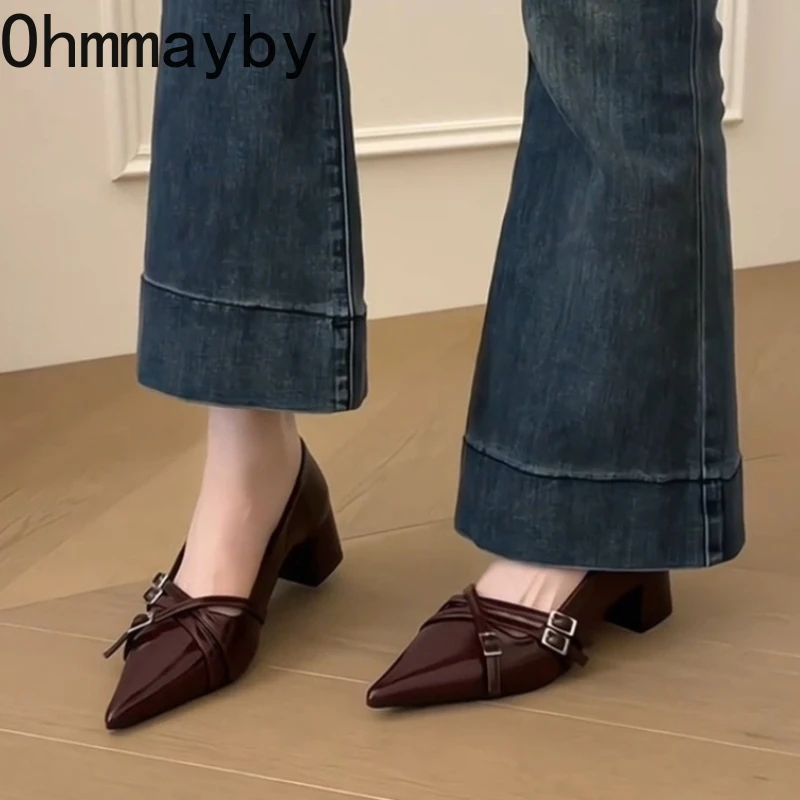 Frühlings-Mary-Jane-Schuhe mit dickem Absatz für Damen, Designer-Schuhe mit spitzer Zehenpartie, elegante Slip-On-Schuhe mit Schnallenriemen, Büro-Pumps für Damen