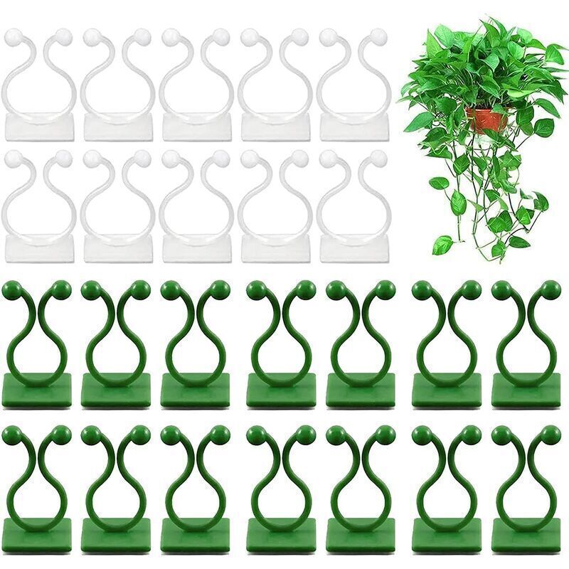 100 Pezzi Clip Di Supporto Per Piante Clip Per Piante Rampicanti Clip Invisibili Per Piante Clip Di Fissaggio Per Montaggio A Parete Per Piante 100 Pezzi Clip Di Supporto Per Piante Rampicanti, Di