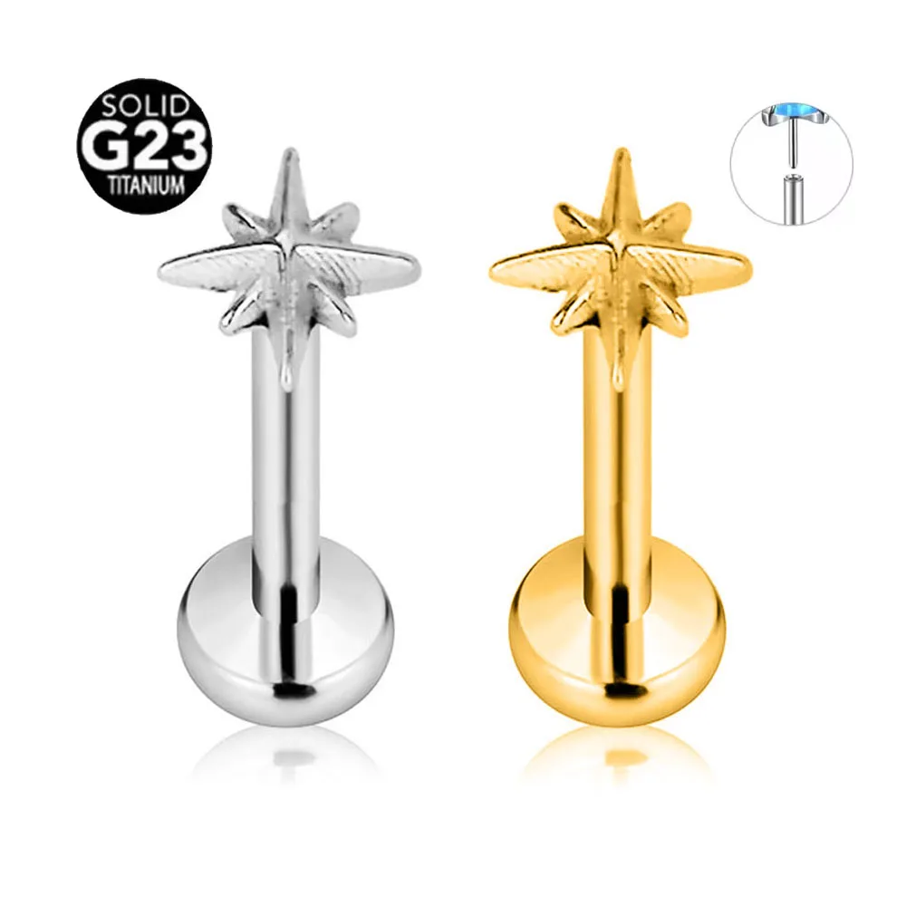 ASTM F136 G23 Titan Stern Herz Threadless Piercing Feiner Stift Push-in Labret Ohrstecker Daith Conch Ohrring Lippenschmuck 16G 18G 20G Image