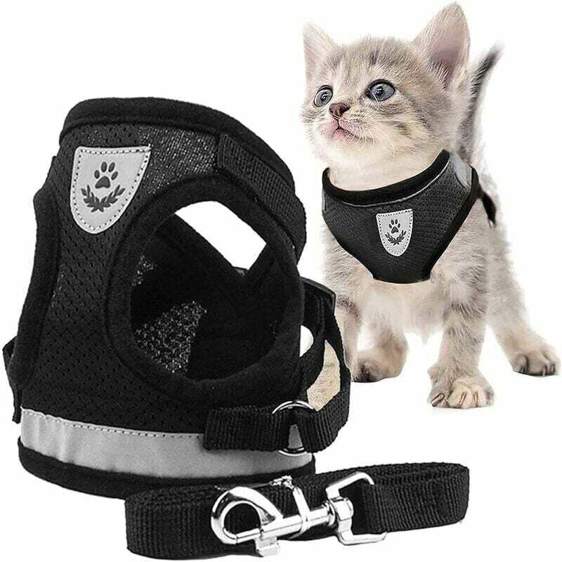 Jalleria - Pettorina Per Gatti, Guinzaglio Per Gatti, Imbracatura Per Gatti, Guinzaglio Per Gatti, Imbracatura Per Gatti Con Gilet Riflettente, Guinzaglio Per Gatti Regolabile Per Gatti Di Piccola Taglia, Per Pr