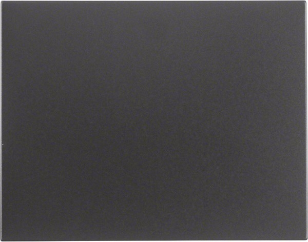 Berker Wippe K.1 14057006 Image
