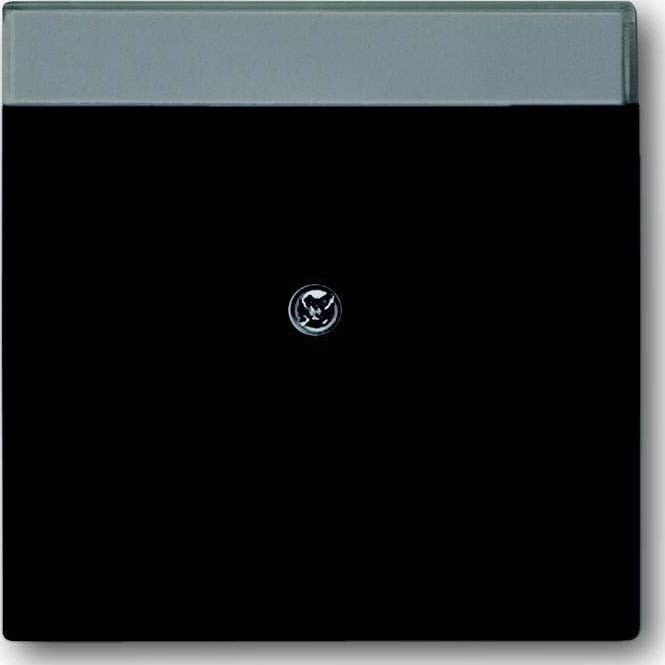 Busch-Jaeger Zentralscheibe sw mt 1800-885 2CKA001710A3910 Image