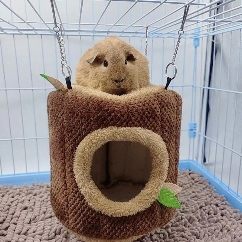 pro