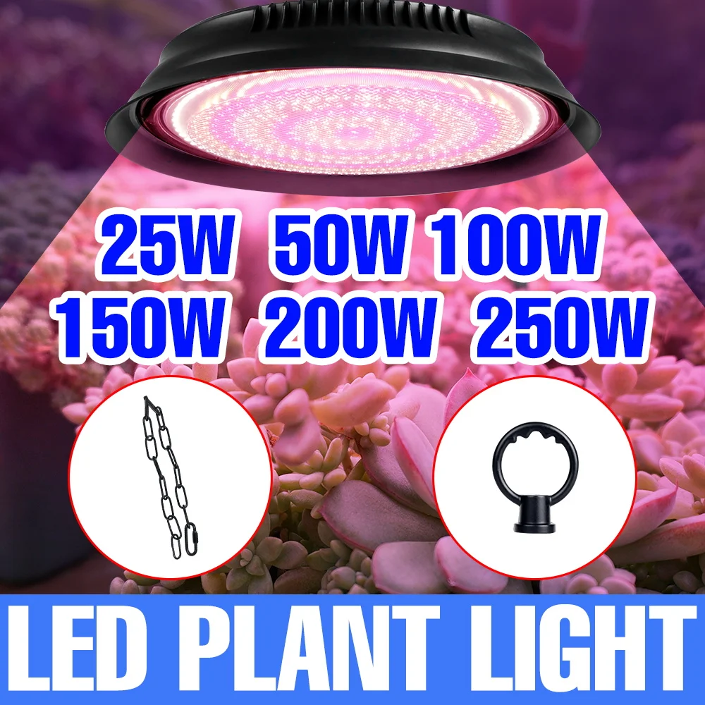 250W Vollspektrum LED Pflanzenlampe für Gewächshaus, Zelt, Blumen, Setzlinge, Obst, Gemüse, Hydrokultur und Kultivierung