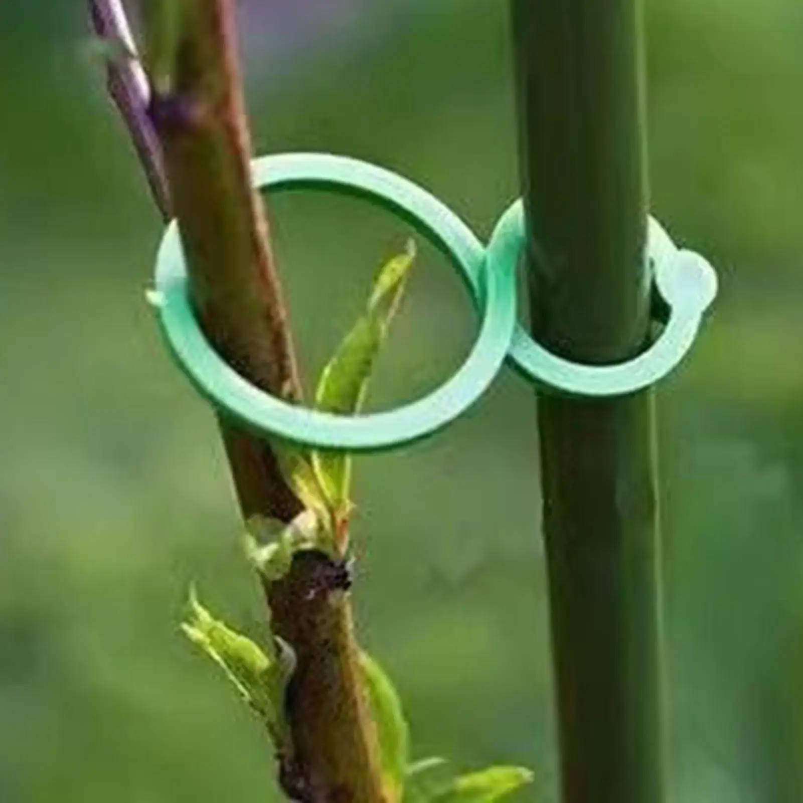 Pflanzenclips zur Unterstützung, 100 Stück, sichere, flexible, universelle Pflanzenbefestigungsclips für Gartenpflanzen, Weinreben, Früchte, Blumen Image