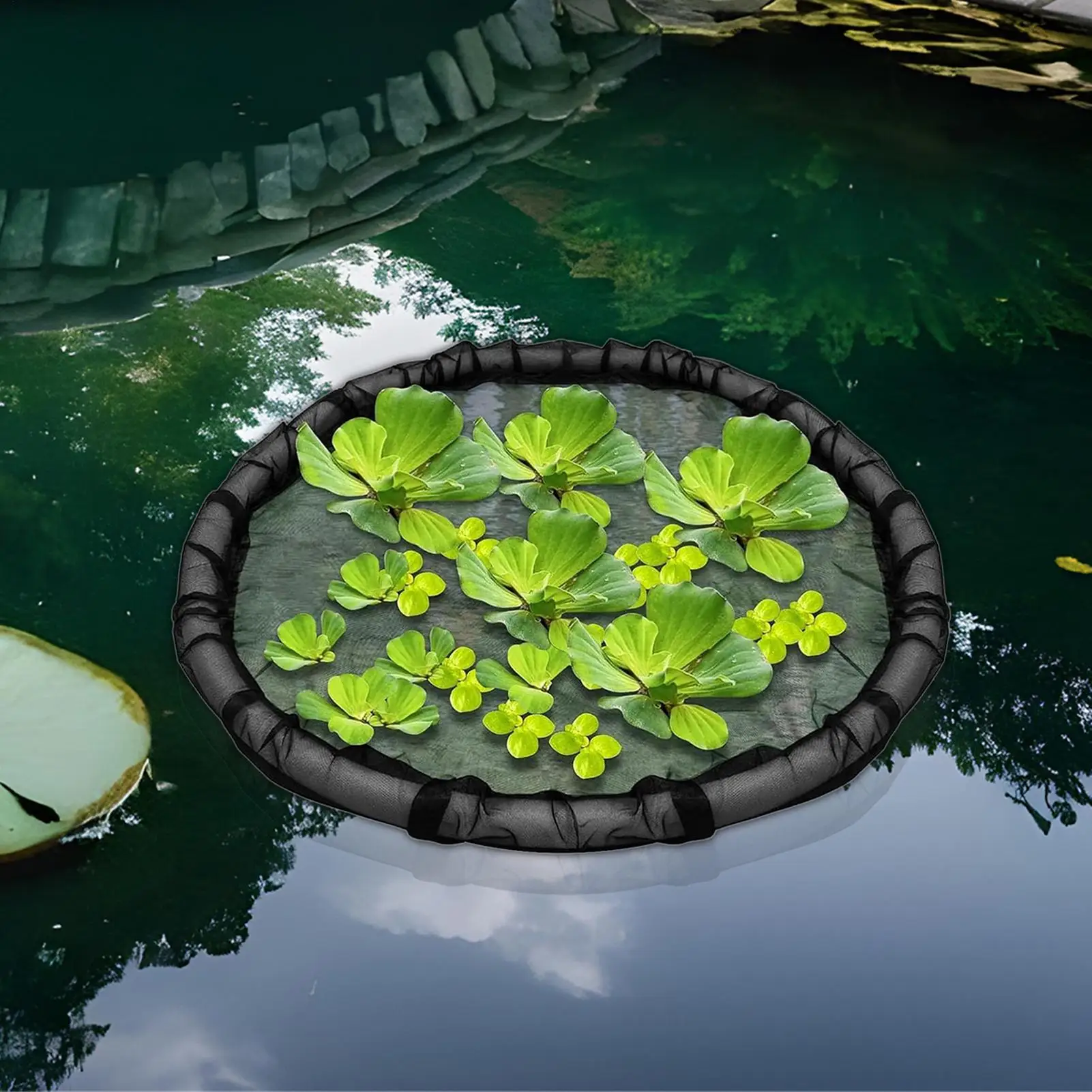 Schwimmender Pflanzenring, schwimmende Insel, Pflanznetz, feinmaschiges Pflanznetz, Teichschutz, 17,7 Zoll großes Netz für Gartenteich, Außendekoration Image