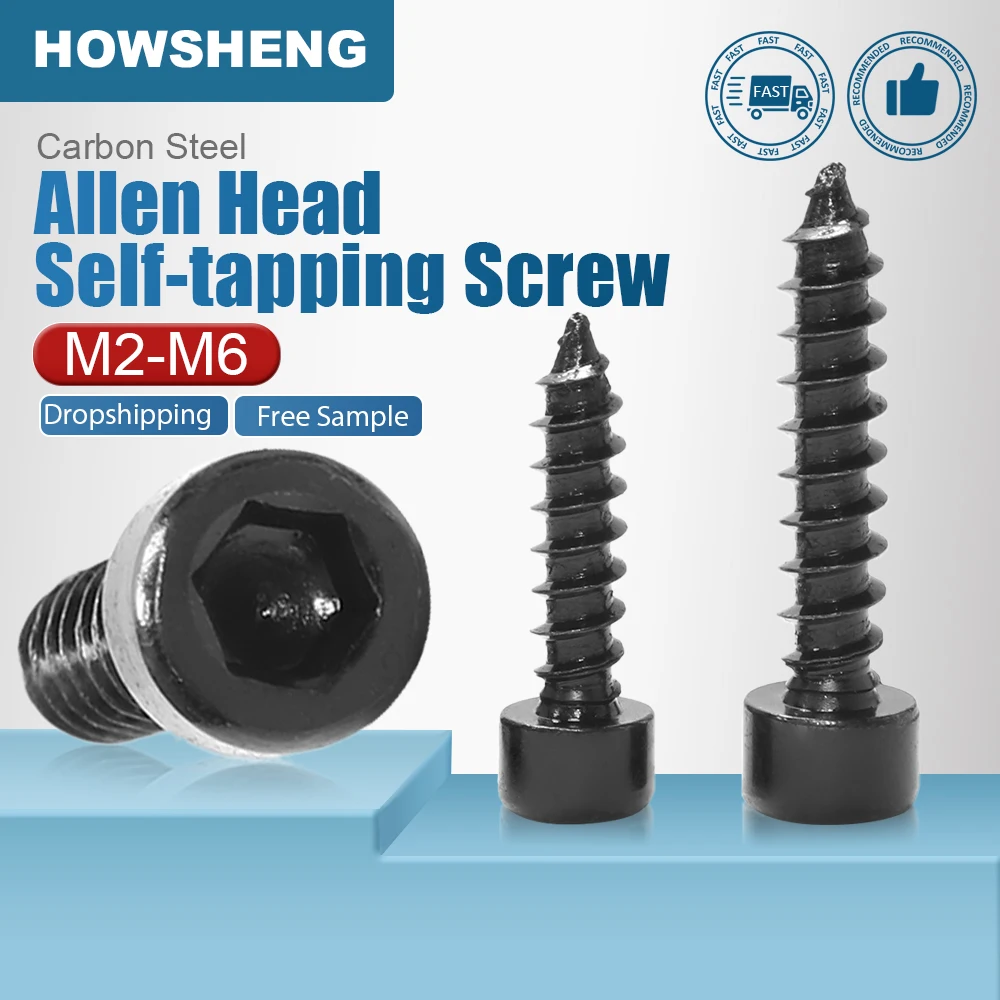 HOWSHENG 10–100 Stück selbstschneidende Innensechskantschraube mit Innensechskant M2 M2,6 M3 M3,5 M4 M5 M6 8,8 Sechskant-Innenkopf-Blechschraube Image