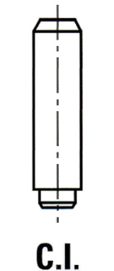 IPSA Ventilführung vg052700 Image