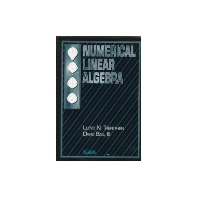Numerical Linear Algebra by David Bau (Paperback - Society for Industrial & Applied)