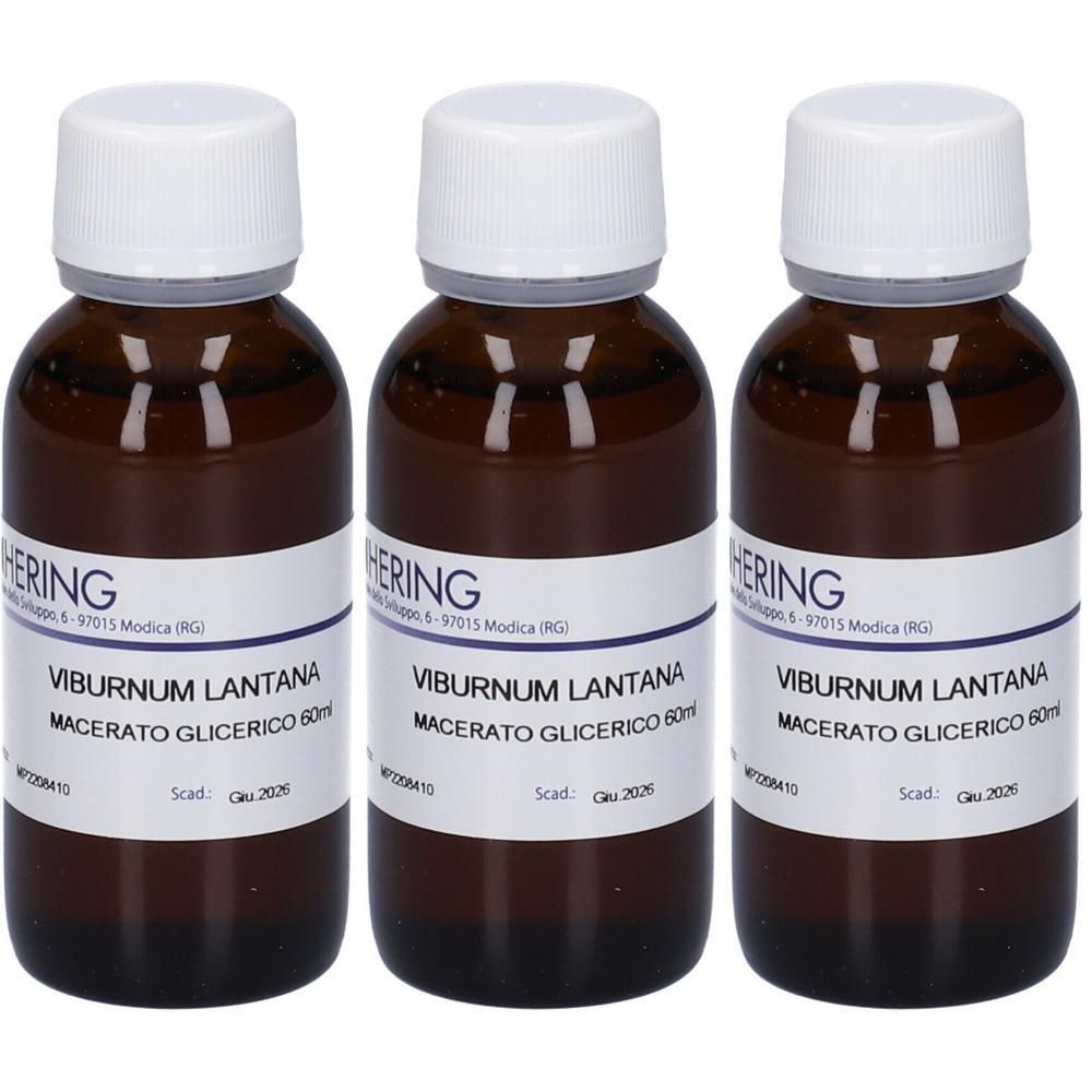 HERING Viburnun Lantana Macerato Glicerico 3x60 ml