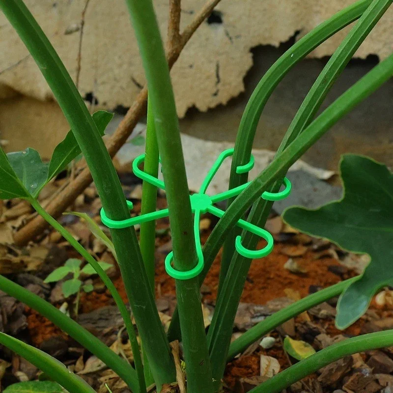 4 Stück Pflanzenstiel-Stützclips, Blumenstiel-Sammelrahmen, Anti-Kipp-Stützhalter für Monstera Deliciosa Topfpflanzen Image