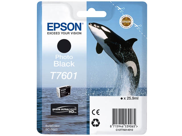 Epson Original T7601 Druckerpatrone Photo Black 25,9ml (C13T76014010) Image