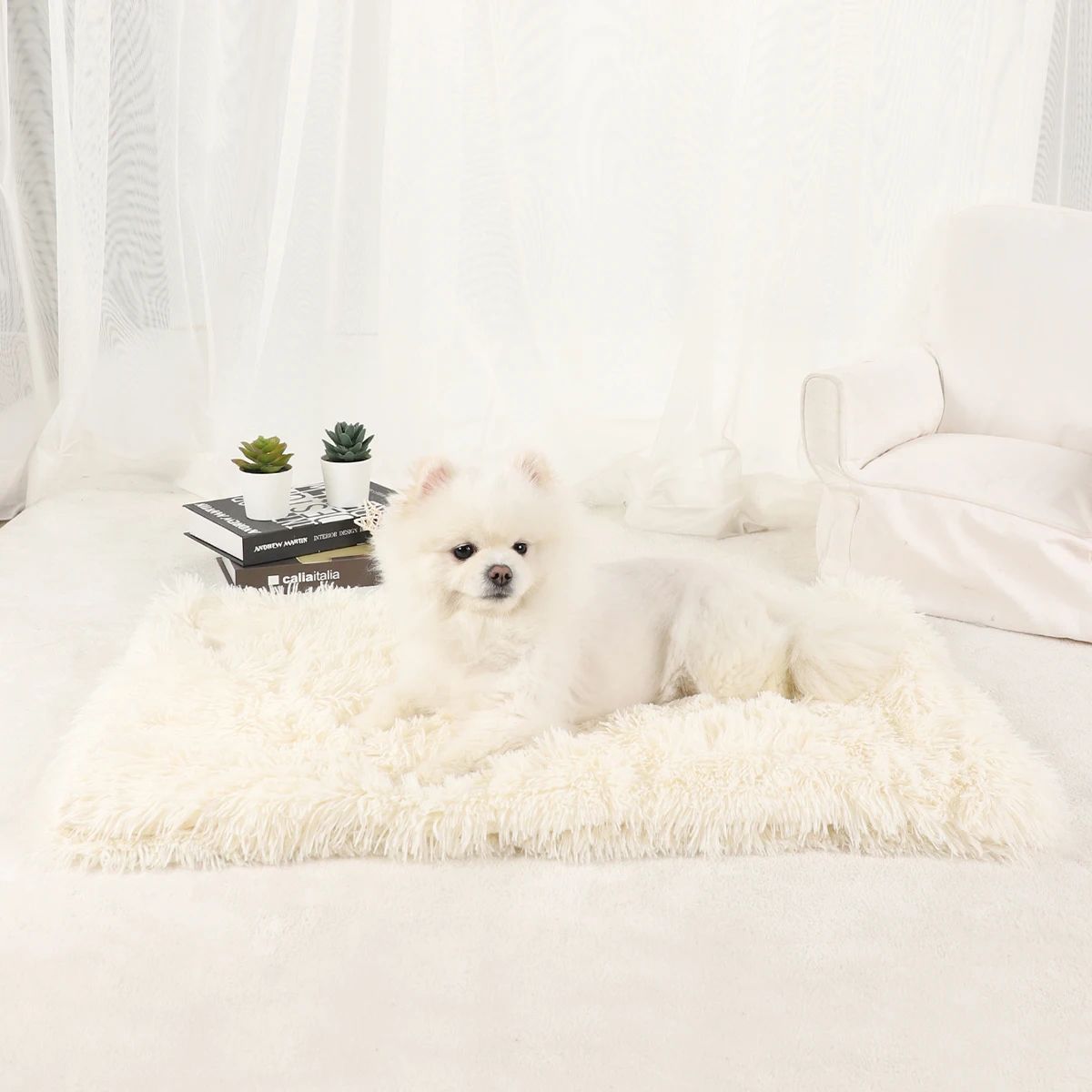 Plush Dog Blanket Bed Washable Pet Sleeping Mat white s (22.05 14.17 In)