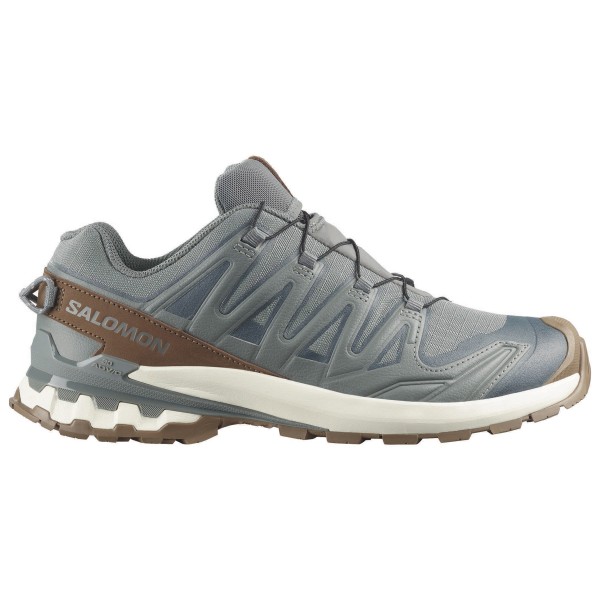 Salomon - XA Pro 3D V9 GORE-TEX Lifelong - Freizeitschuhe 42 2/3 | EU 42,5 grau
