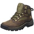 Timberland Women's Chocorua Trail Mid Gore-tex Ankle Boots, Brown Dark Brown Green, 3 UK