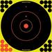 Birchwood Casey Shoot-N-C Target - 12" Bullseye, 5 Pack