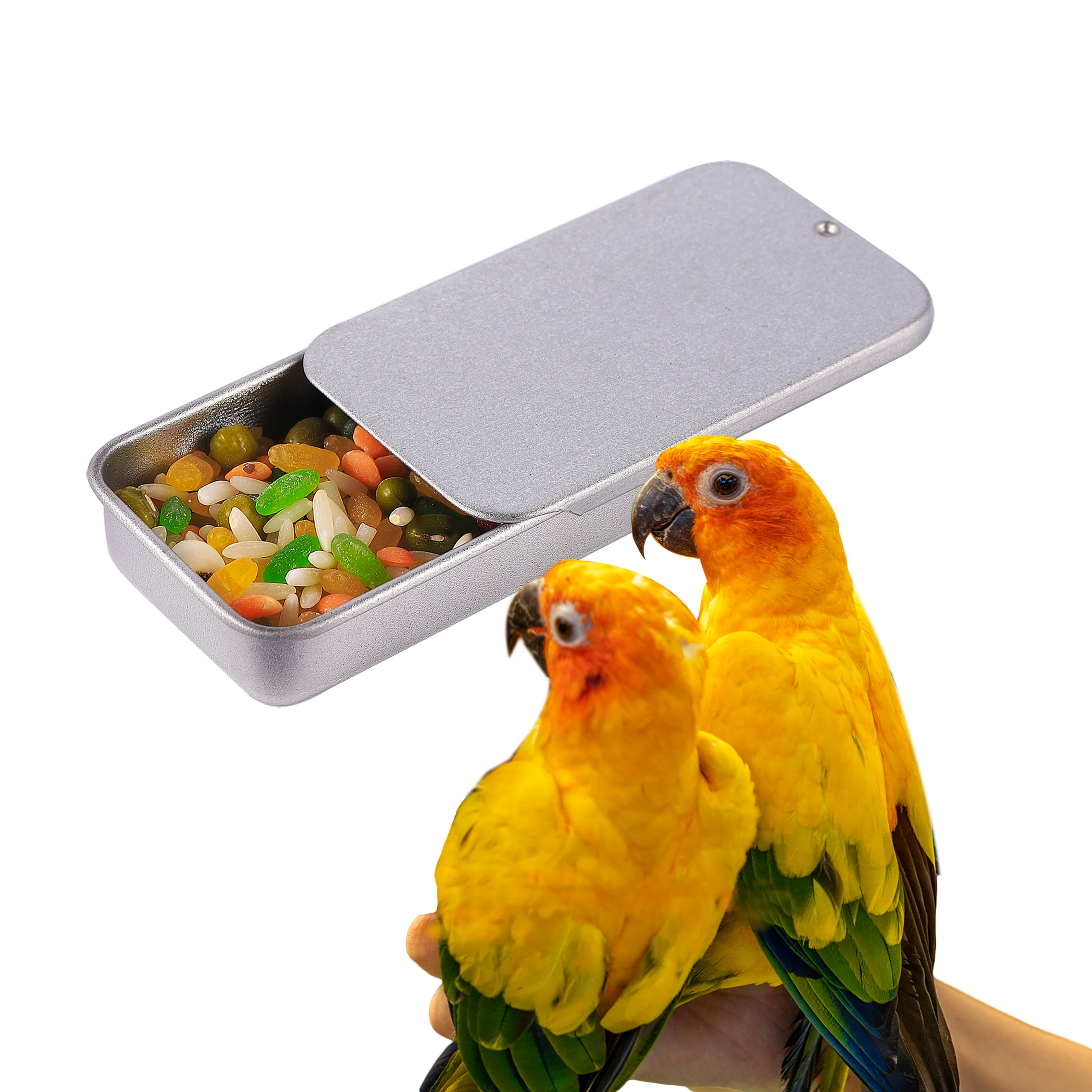 Mini Pet Bird Training Handheld Food Box Tragbare Outdoor Papagei Belohnung Fütterung Box Einfach Zu Speichern Vogel Training Interaktives Spielzeug