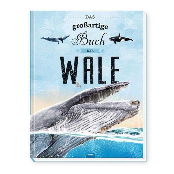 Trötsch Kinderbuch Das großartige Buch der Wale| Ab 8 Jahren, Gebundene Ausgabe von , Trötsch Verlag GmbH & Co. KG, 978-3-9880234-5-2