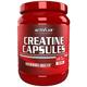 Activlab Creatine Capsules (300 Kapseln) - Reines Kreatinmonohydrat 5000 mg - Vor dem Training einnehmen - 60 Tagesportionen - 100% Pures Kreatin Monohydrat - Pre-Workout-Leistungsverstärker