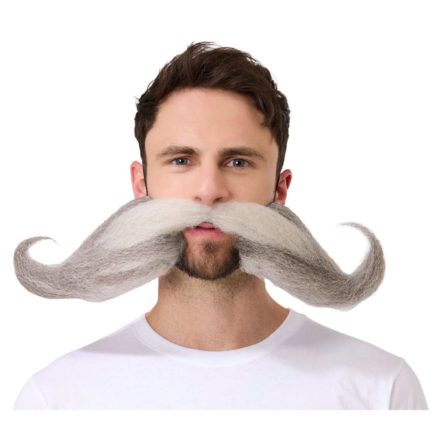 Barbe "viking", gris