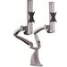 Cotytech Height Adjustable 2 Screen Desk Mount in Gray | 14.8 H x 41.4 W in | Wayfair DM-D1A4-G