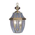 Livex Lighting Monterey 19 Inch Tall 2 Light Outdoor Hanging Lantern - 2255-01