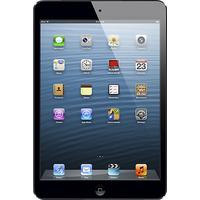 Apple iPad mini Wi-Fi + Cellular (Verizon) - 16GB - Black & Slate