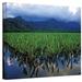 ArtWall Kauai Taro Field by Kathy Yates - Wrapped Canvas Graphic Art Print Canvas in Blue/Green | 16 H x 24 W x 2 D in | Wayfair Kyates10-16x24-w