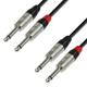 Adam Hall Cables 4 STAR TPP 0600 Audiokabel REAN 2 x 6,3 mm Klinke Mono auf 2 x 6,3 mm Klinke Mono 6 m