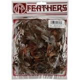 Zucker Pheasant Plumage Feathers .25oz-Natural