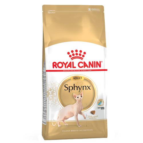 10kg Sphynx Adult Royal Canin Katzenfutter trocken