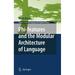 Studies in Natural Language and Linguistic Theory: Phi-Features and the Modular Architecture of Language (Hardcover)