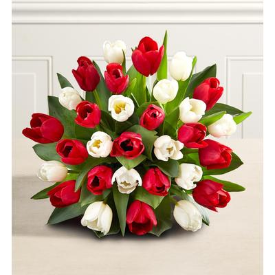 1-800-Flowers Seasonal Gift Delivery Holiday Tulips 30 Stems, Bouquet Only