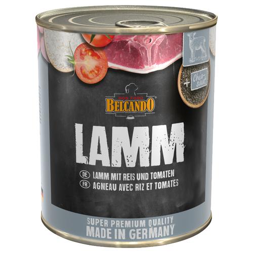 6x800g Super Premium - Lamm mit Reis & Tomate BELCANDO Hundefutter nass