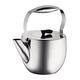 Bodum COLUMBIA Tea Maker (Stainless Stee L, Dishwasher Safe, 1.5 L/51 oz) - Matt