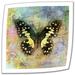 ArtWall 'Butterfly' Mixed Media Print by Elena Ray Vintage Advertisement on Rolled Canvas in Black/Blue/Yellow | 14 H x 14 W x 0.1 D in | Wayfair