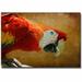 Trademark Fine Art 'Colorful Bird' by Lois Bryan Photographic Print on Canvas in White | 30 H x 47 W x 2 D in | Wayfair LBr095-C3047GG