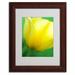 Trademark Fine Art "Hint of a Tulip" by Kathy Yates Framed Photographic Print Canvas in Green/Yellow | 14 H x 11 W x 0.5 D in | Wayfair